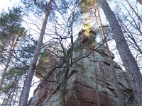 SORTIE CHATEAU FALKENSTEIN ROCHER DU FALKENBERG 08 02 2019 43